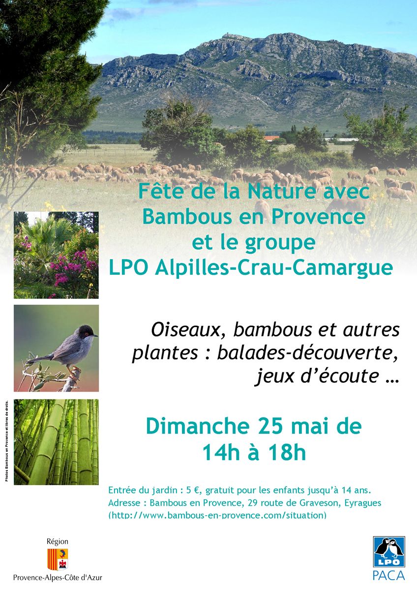 Affiche Fête de la Nature_Bambous en Provence
