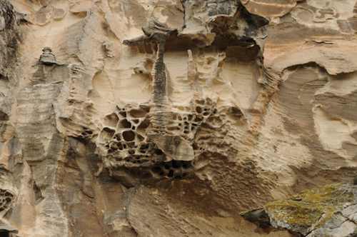 Alvéoles, rocher des Baux