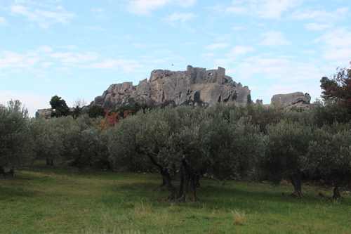 La falaise des Baux, vue des oliveraies