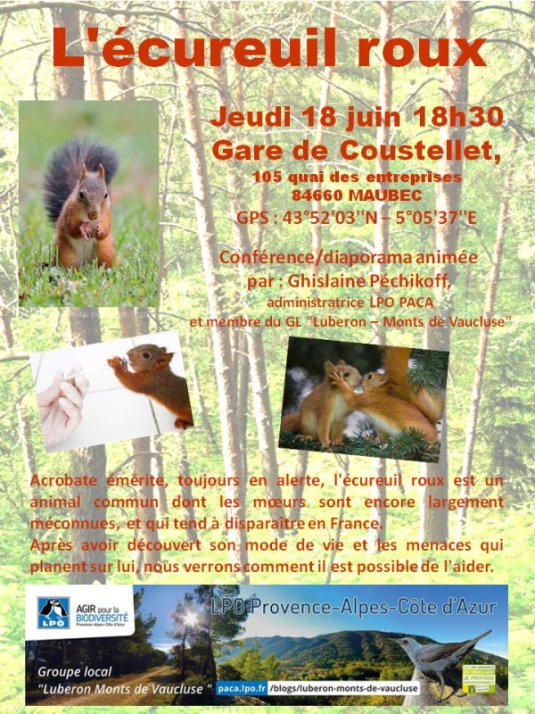 2015-06-18-Affiche conf écureuil
