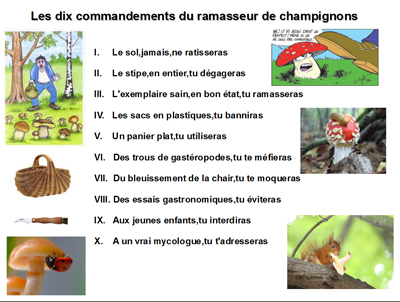 Les dix commandements du ramasseur de champignons