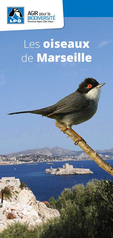 Les oiseaux de Marseille