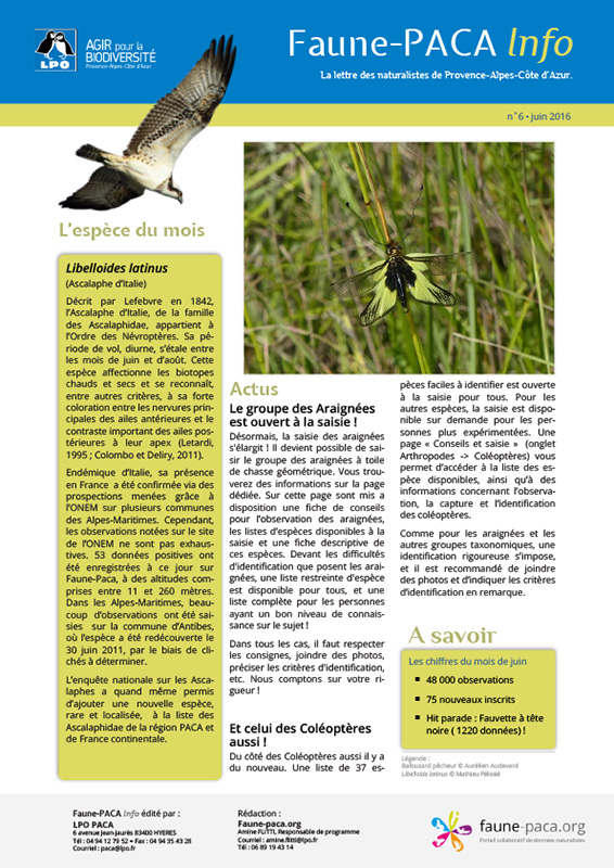 Faune-PACA Info n°6