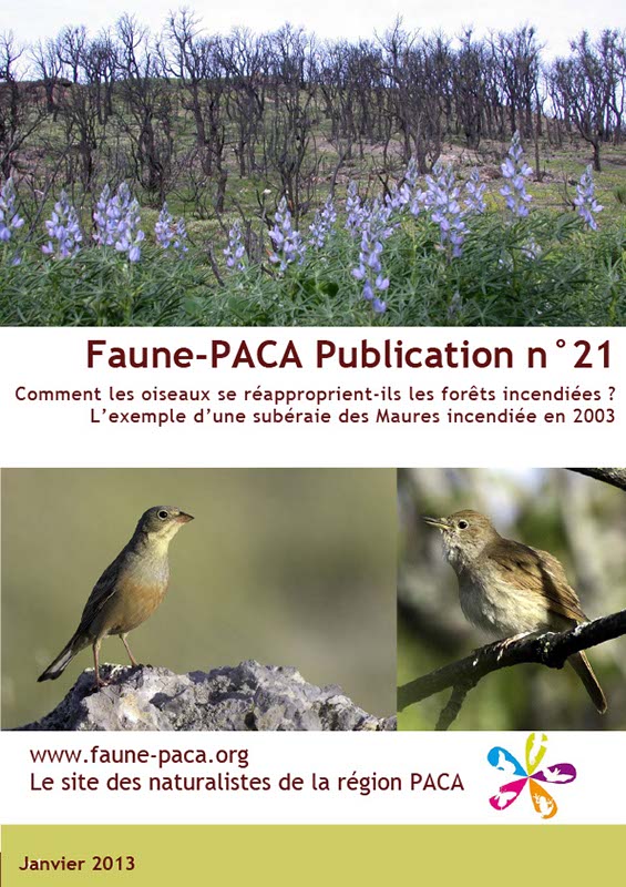 Faune-PACA Publication n°21 : Comment les oiseaux se réapproprient-ils les forêts incendiées ? L’exemple d’une subéraie des Maures incendiée en 2003