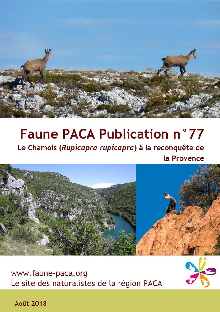 Faune-Paca Publication n°77 : Le Chamois (Rupicapra rupicapra) à la reconquête de la Provence