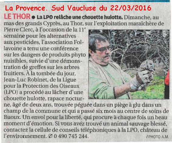 2016-03-20-La Provence-relâcher au Thor