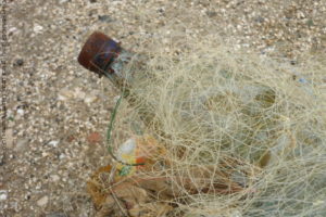 Fil de pêche, Tour Royale (Toulon), 20/11/2016