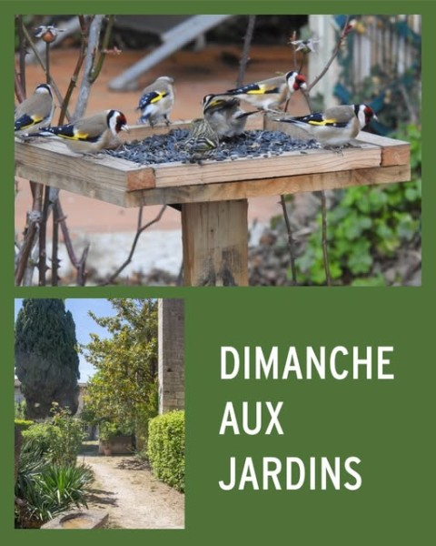 Oiseaux des jardins à la Chartreuse