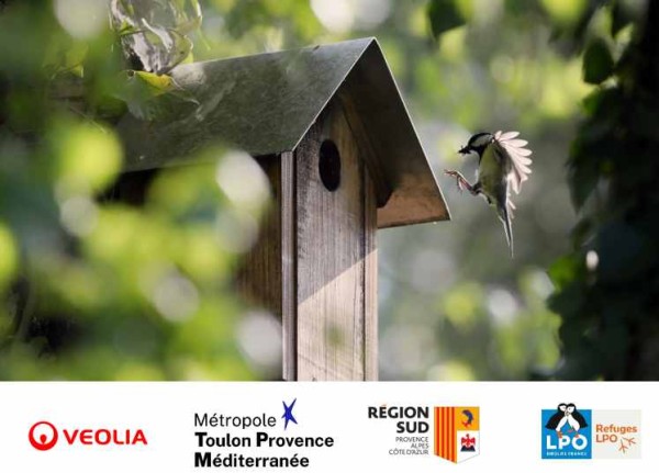 nichoir à mésange © André Simon