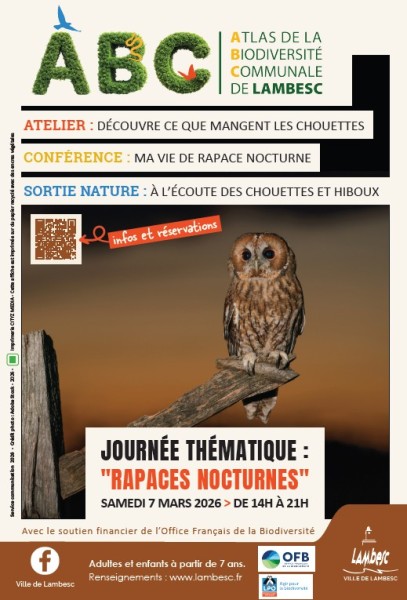 Journée "Rapaces nocturnes"