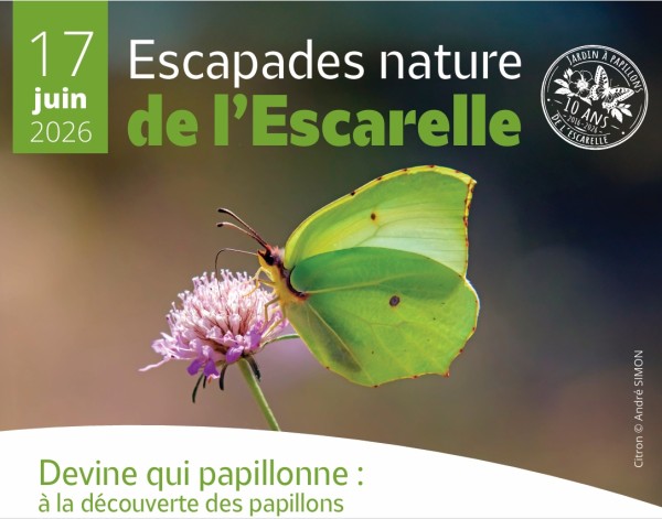 Citron © André SIMON