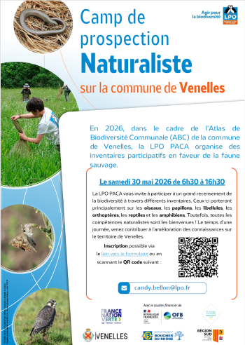 Affiche camp de prospection Venelles
