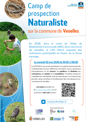 Affiche camp de prospection Venelles