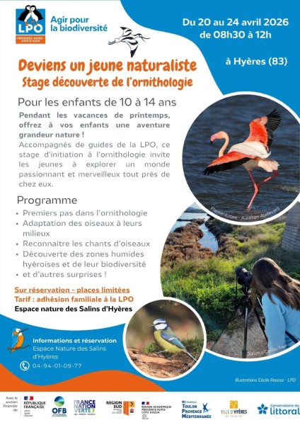 Stage jeunes naturalistes Salins - Avril 2026