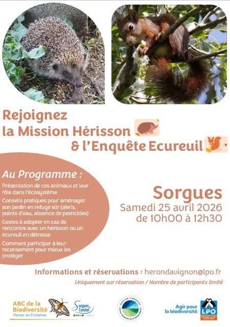 Mission hérisson et enquête écureuil