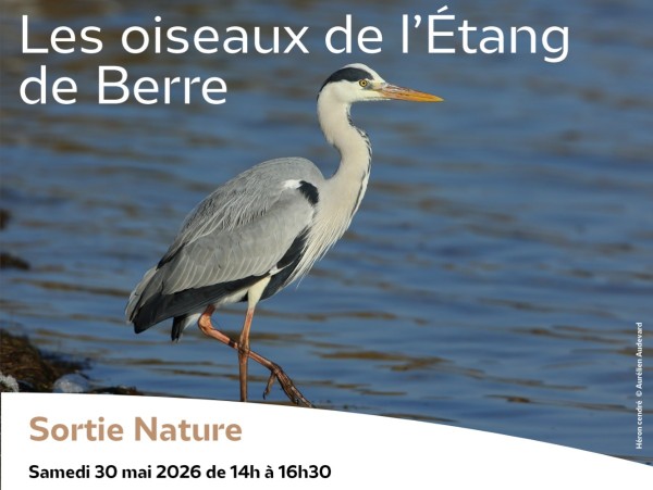vignette_agenda_defaut.png