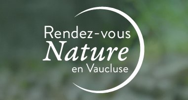 Sortie nature du Vaucluse