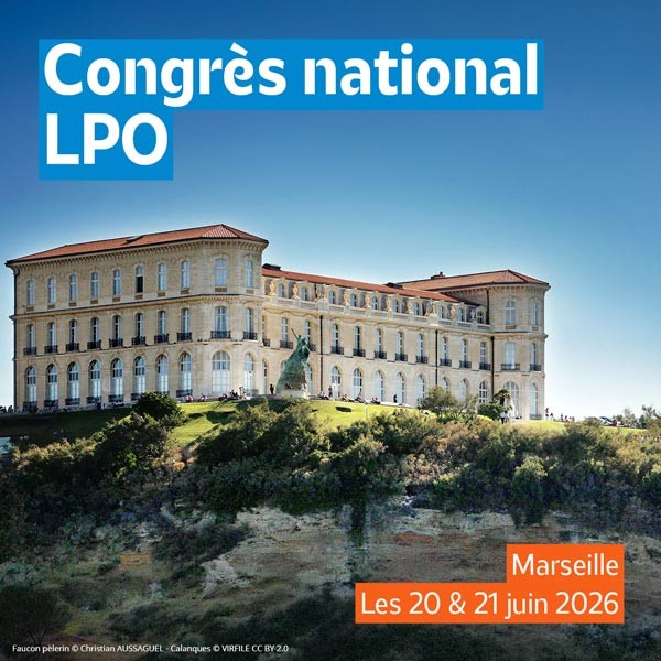Palais du Pharo de Marseille
