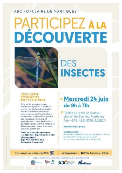 Affiche sortie 24 juin insectes