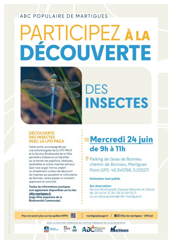 Affiche sortie 24 juin insectes