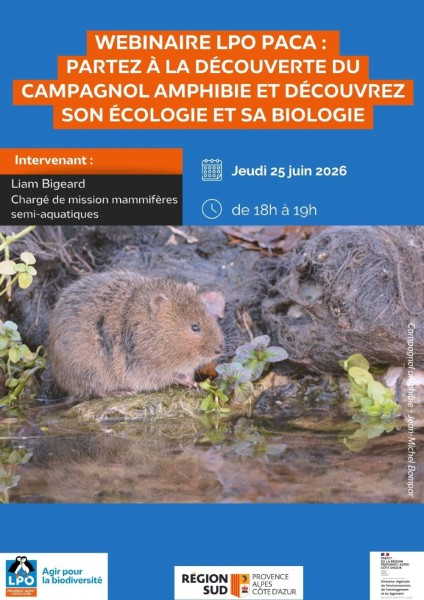 Webinaire LPO PACA - Campagnol amphibie