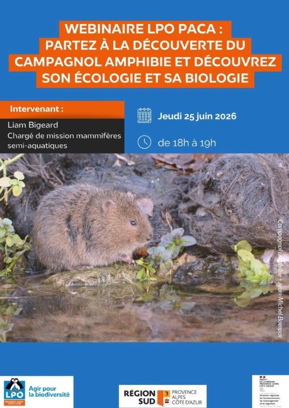 Webinaire LPO PACA - Campagnol amphibie