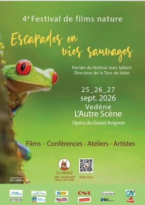 Affiche festival