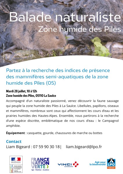 À la recherche des indices de présence des mammifères semi-aquatiques