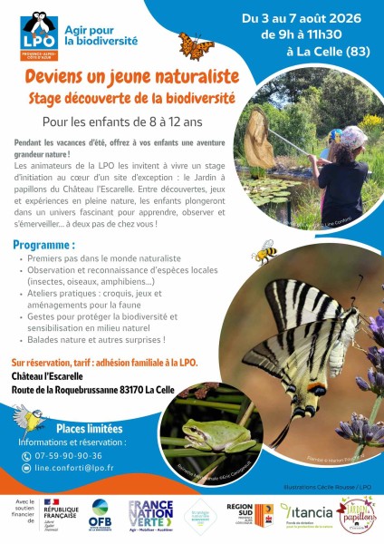 Affiche stage jeunes naturalistes