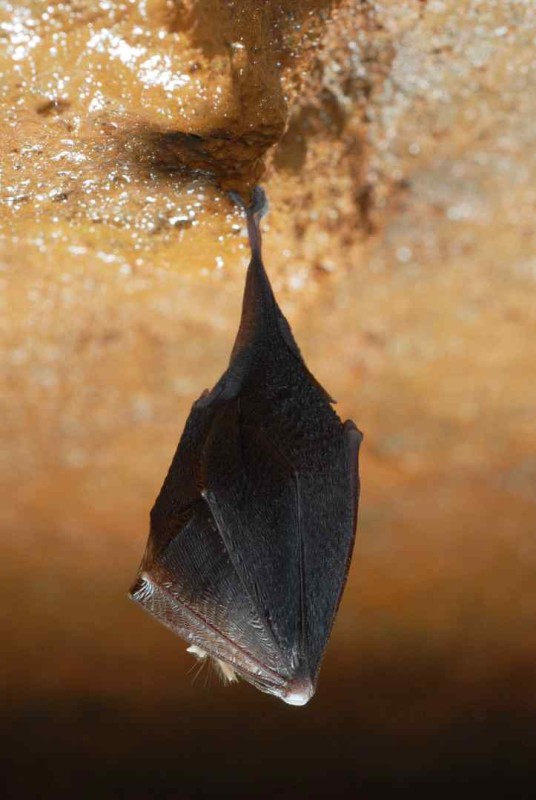 vignette_agenda_defaut.png