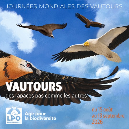 Affiche des Journées mondiales des vautours