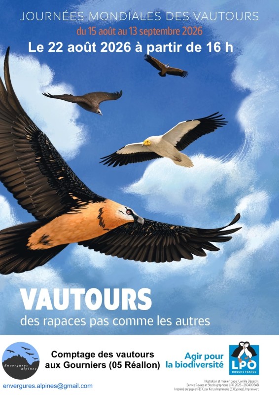 Affiche des Journées mondiales des vautours