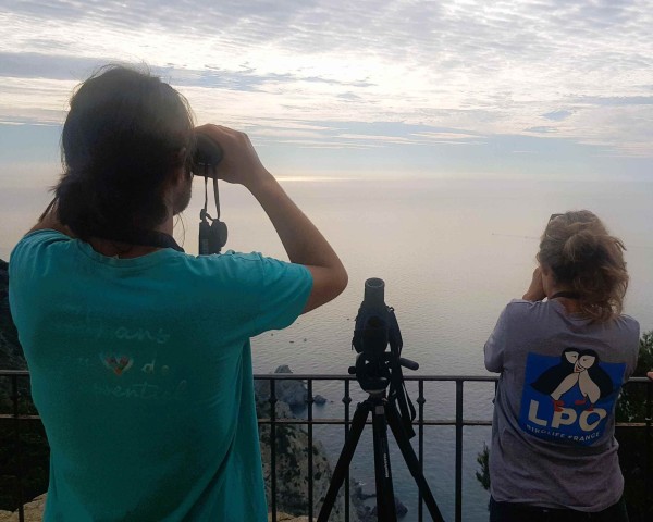 Observation aux jumelles depuis le Cap Sicié