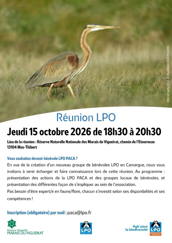 vignette_agenda_defaut.png