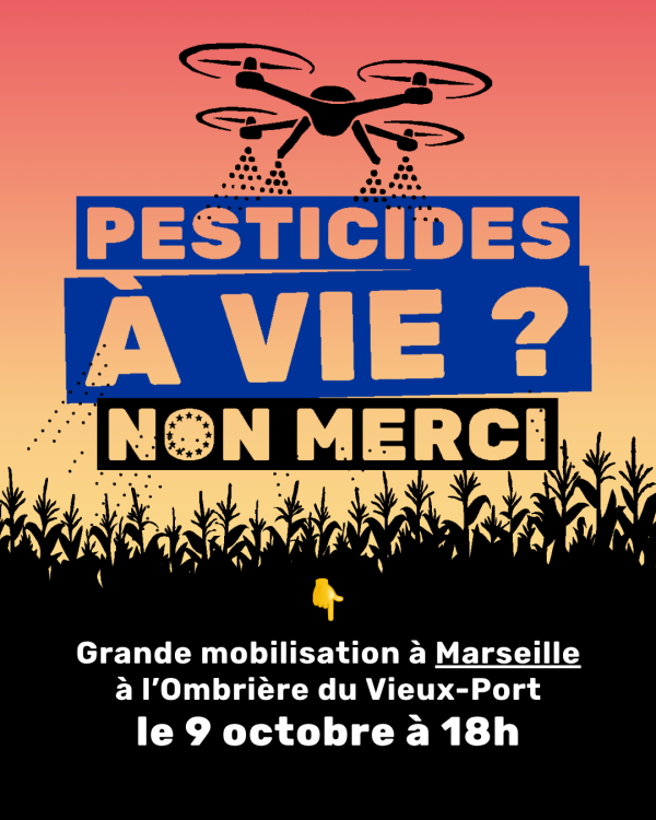 Affiche manifestation Marseille