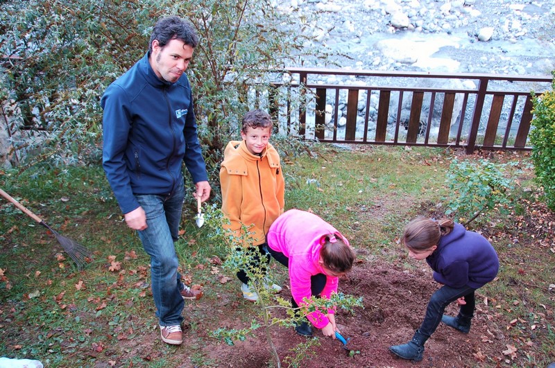 Un arbre pour le climat - Arnaud Roche
