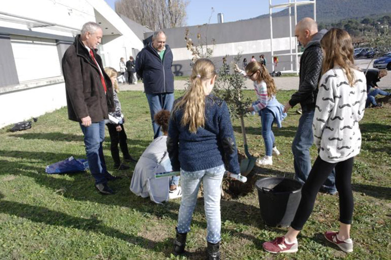 Les élèves du collège Jean Giono au Beausset ont participé à l'opération "Un arbre pour le climat" © Emilie Christmann, Mairie du Beausset