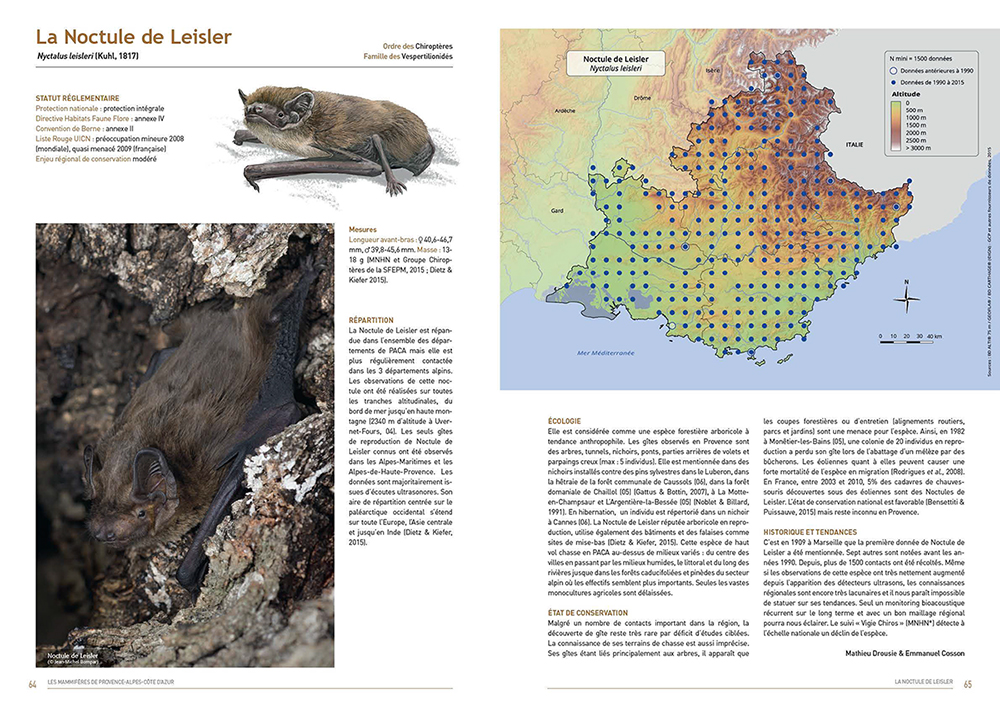Atlas des mammifères de PACA, monographie de la Noctule de Leisler