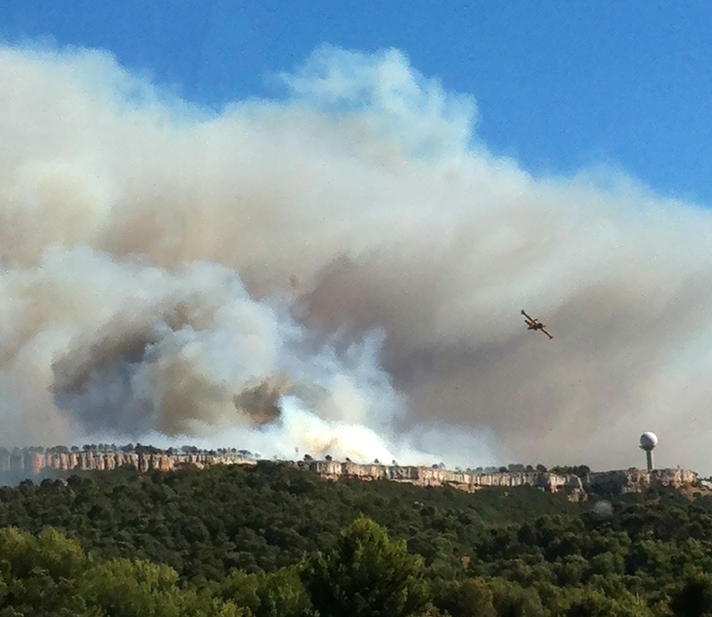 Incendie sur le plateau de Vitrolles le 10 août 2016 © Odélia Riché