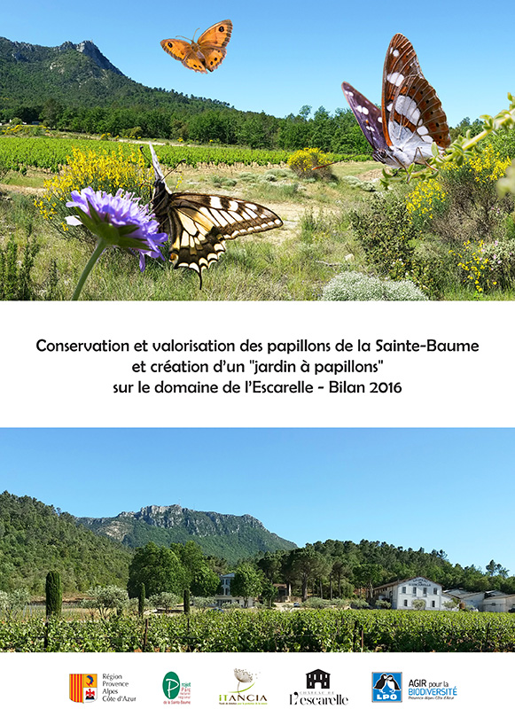 Conservation et valorisation des papillons de la Sainte-Baume  et création d’un "jardin à papillons"  sur le domaine de l’Escarelle - Bilan 2016