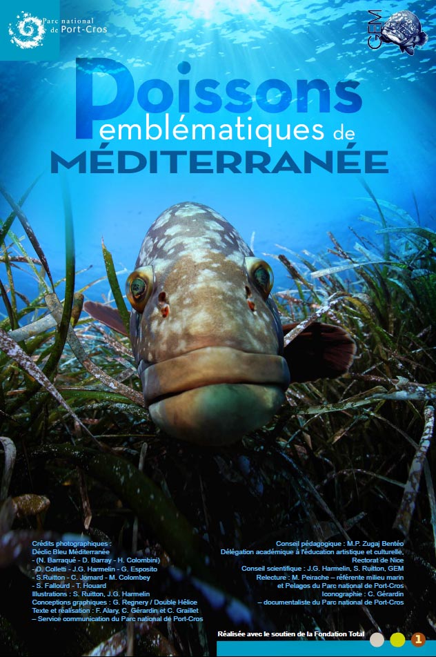 Exposition les poissons de mediterranée