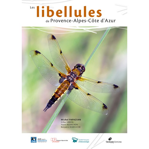 images atlas libellules