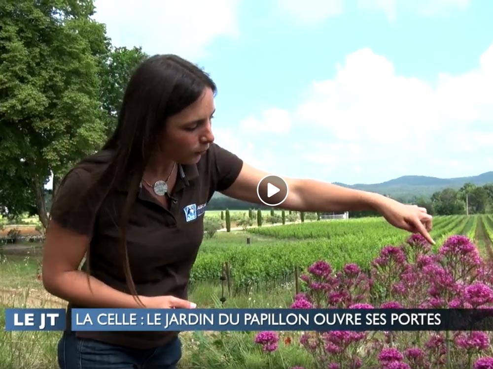 Reportage de Var Azur du 29 05 2018 sur le jardin à papillons de l'Escarelle