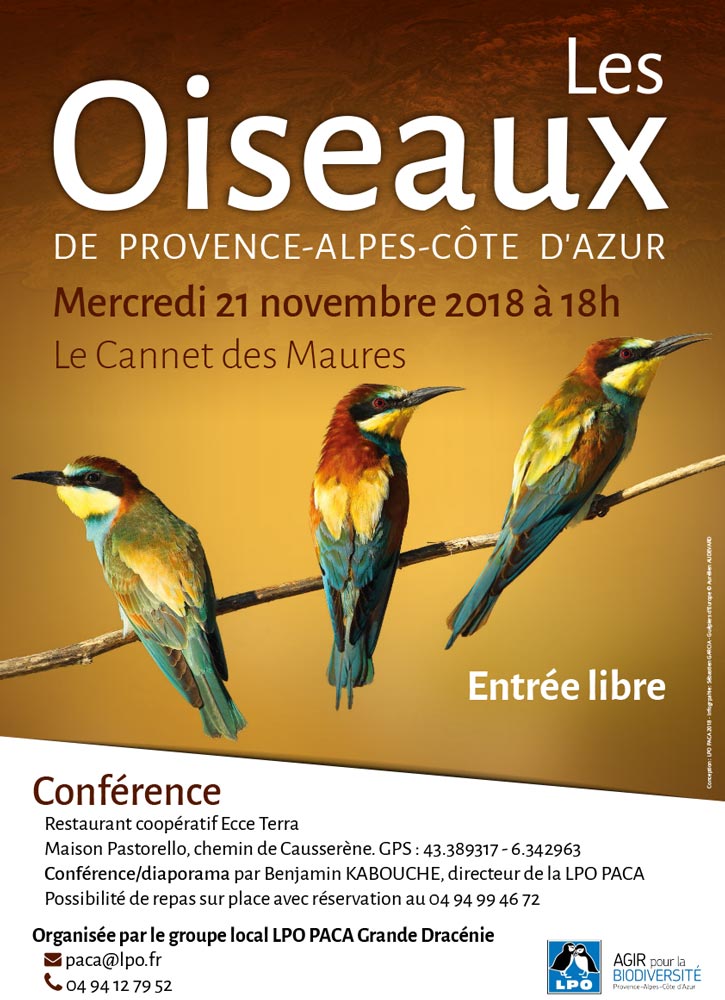 Conférence les oiseaux de Provence-Alpes-Côte d'Azur