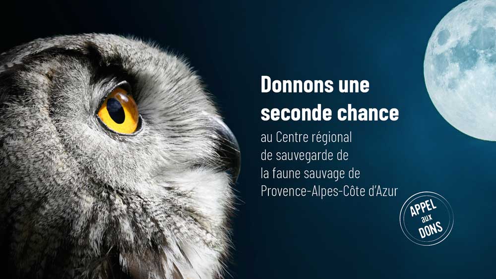 Donnons une  seconde chance  au Centre régional de sauvegarde de la faune sauvage de Provence‑Alpes‑Côte d’Azur © Grégory DELAUNAY