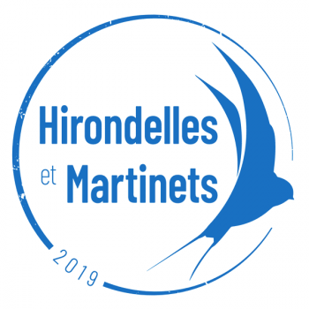 Hirondelles et Martinets 2019