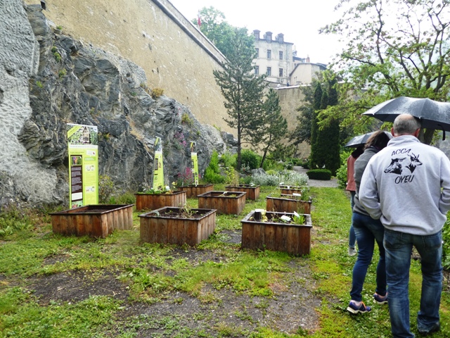 rdv jardin gouverneur c vanessa fine 8 web