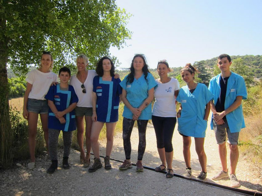 Une partie de l’équipe du centre avec Estelle et Ilona. De gauche à droite, Alexandra (soigneuse), Loriane (chargée du centre), Clara (volontaire), Magali (directrice adjointe), Nawal et Joris (volontaires)
