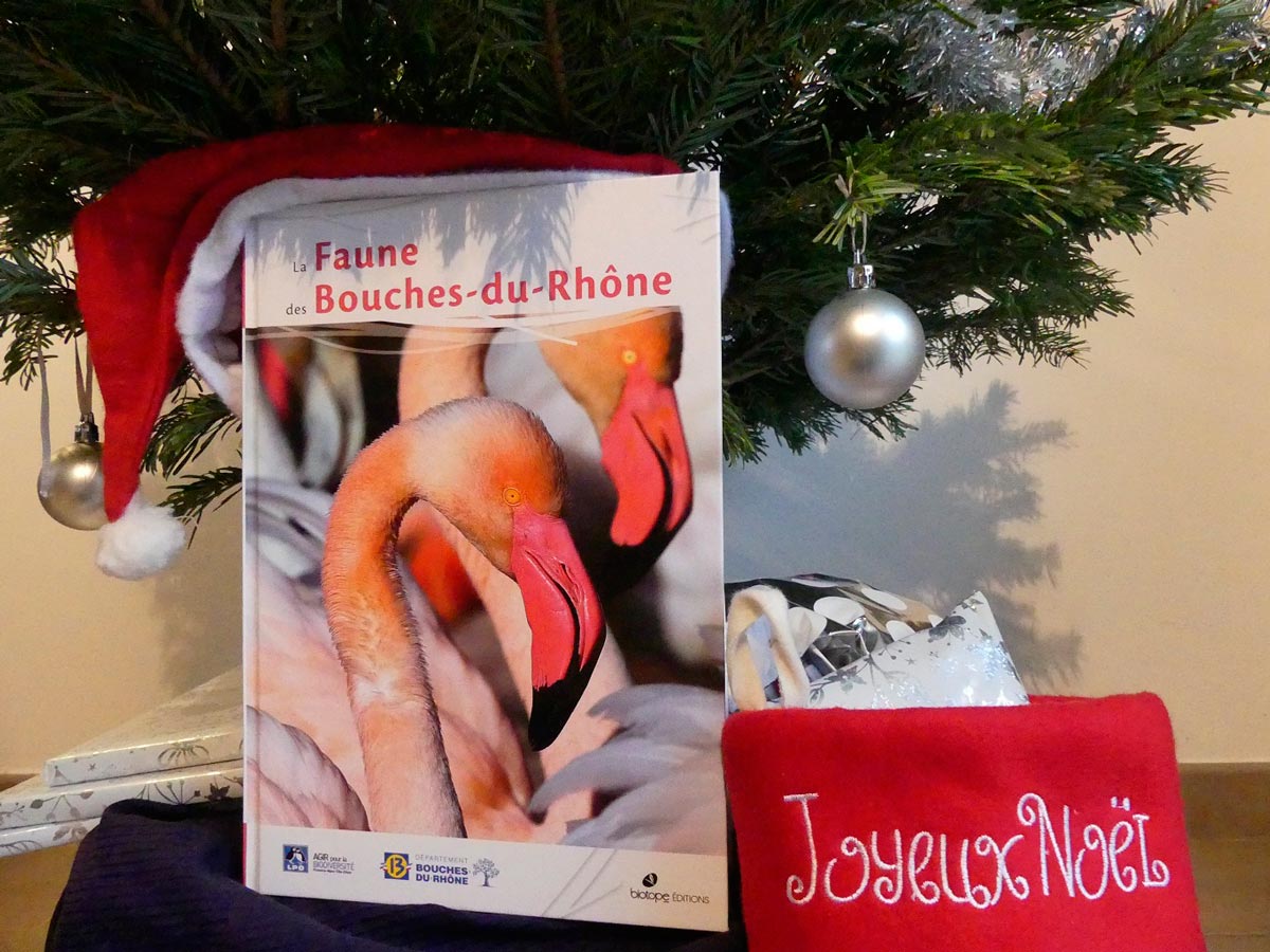 La Faune des Bouches-du-Rhône, un cadeau idéal pour Noël