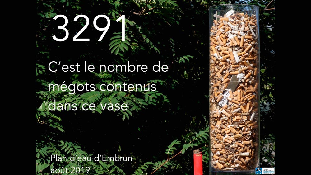 Près de 3300 mégots de cigarettes ramassés en quelques heuressur les plages du Plan d’Eau d’Embrun © Jean-Paul Coulomb
